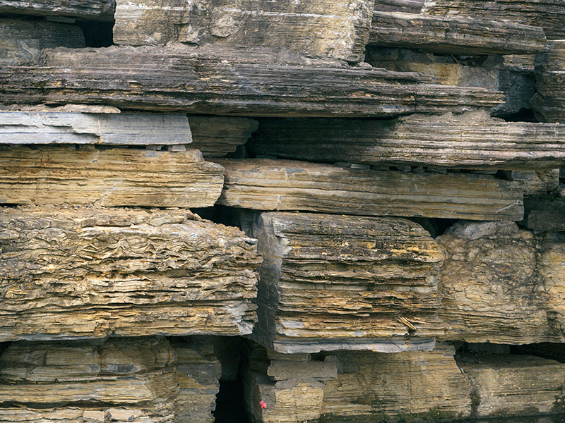 9888��˹ά��˹(�ɷ�)���޹�˾-�ٷ���վ