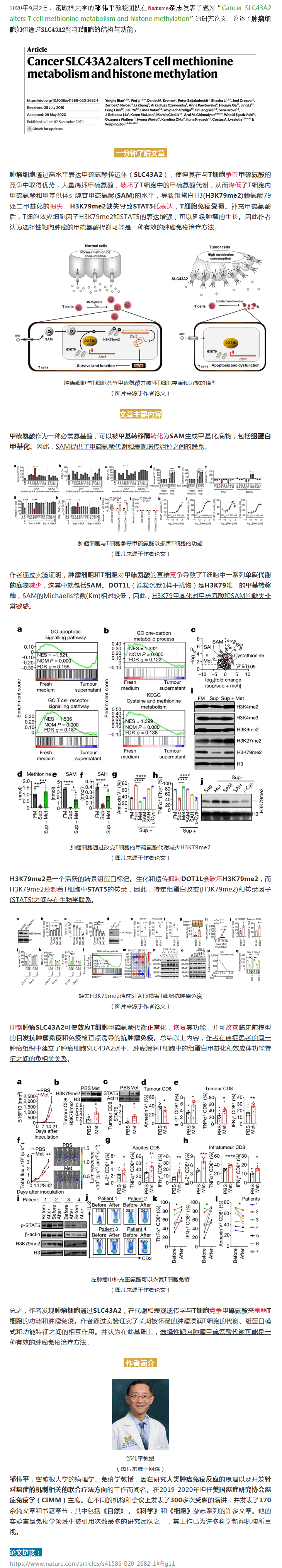 9888À˹ά¼Ó˹(¹É·Ý)ÓÐÏÞ¹«Ë¾-¹Ù·½ÍøÕ¾