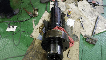 9888À˹ά¼Ó˹(¹É·Ý)ÓÐÏÞ¹«Ë¾-¹Ù·½ÍøÕ¾