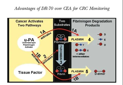 9888À˹ά¼Ó˹(¹É·Ý)ÓÐÏÞ¹«Ë¾-¹Ù·½ÍøÕ¾