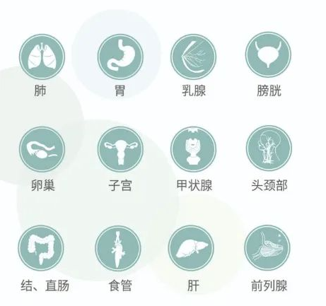 9888À˹ά¼Ó˹(¹É·Ý)ÓÐÏÞ¹«Ë¾-¹Ù·½ÍøÕ¾