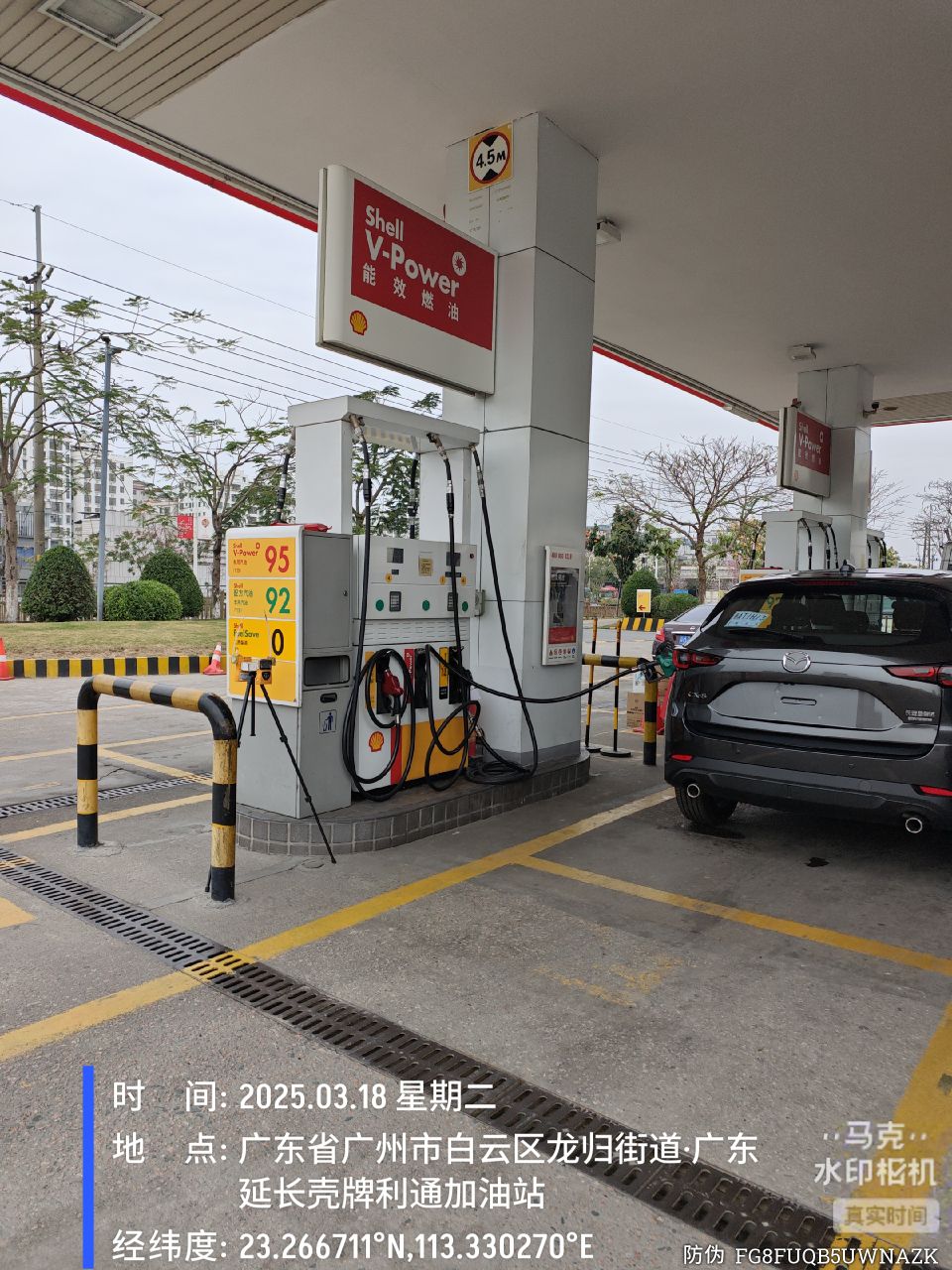 9888À˹ά¼Ó˹(¹É·Ý)ÓÐÏÞ¹«Ë¾-¹Ù·½ÍøÕ¾