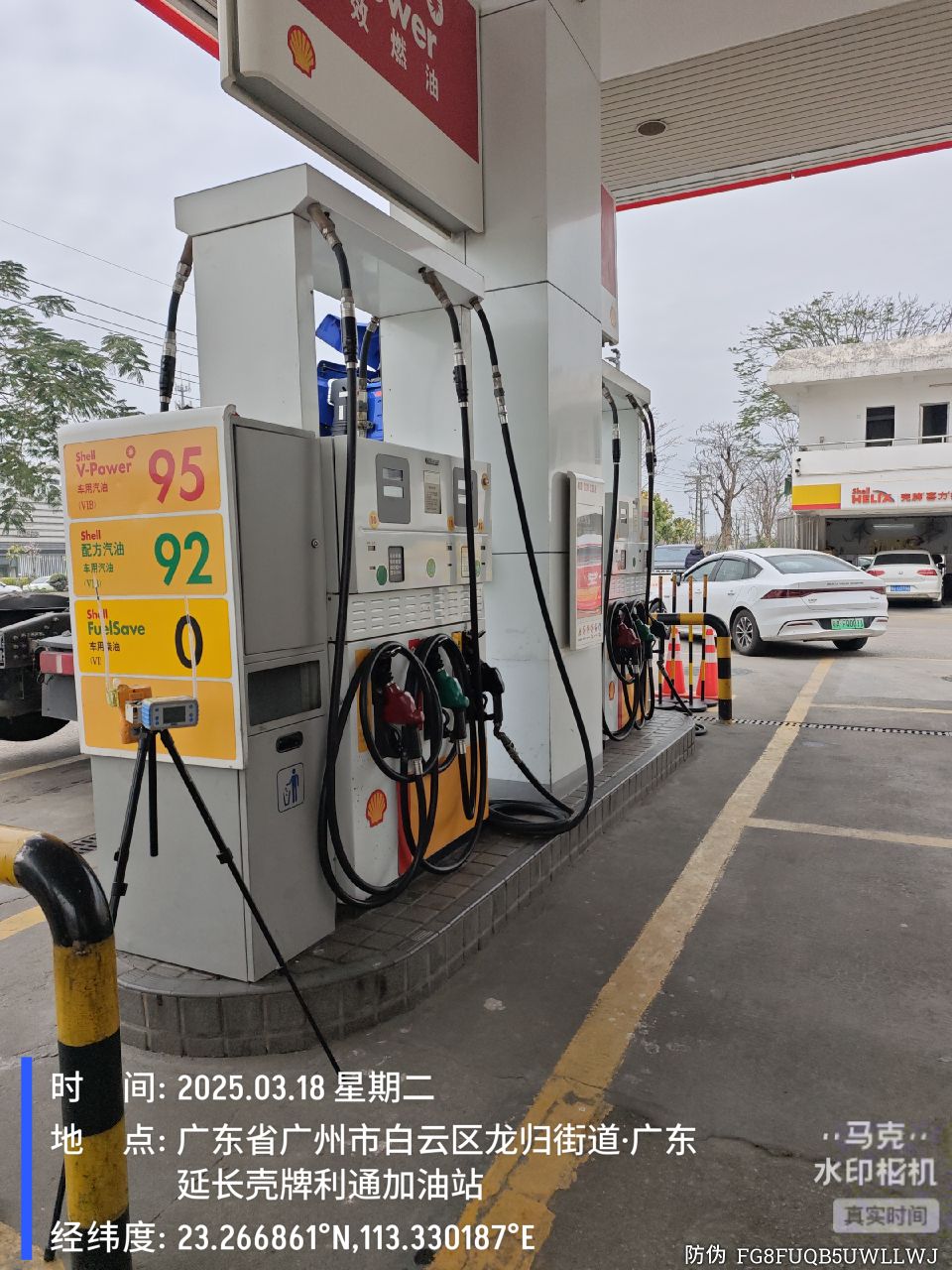 9888À˹ά¼Ó˹(¹É·Ý)ÓÐÏÞ¹«Ë¾-¹Ù·½ÍøÕ¾