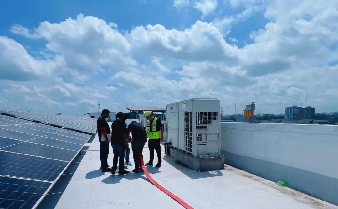 9888À˹ά¼Ó˹(¹É·Ý)ÓÐÏÞ¹«Ë¾-¹Ù·½ÍøÕ¾