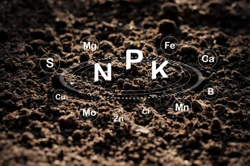 9888À˹ά¼Ó˹(¹É·Ý)ÓÐÏÞ¹«Ë¾-¹Ù·½ÍøÕ¾