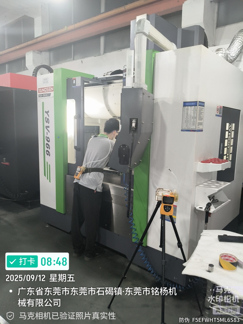 9888À˹ά¼Ó˹(¹É·Ý)ÓÐÏÞ¹«Ë¾-¹Ù·½ÍøÕ¾