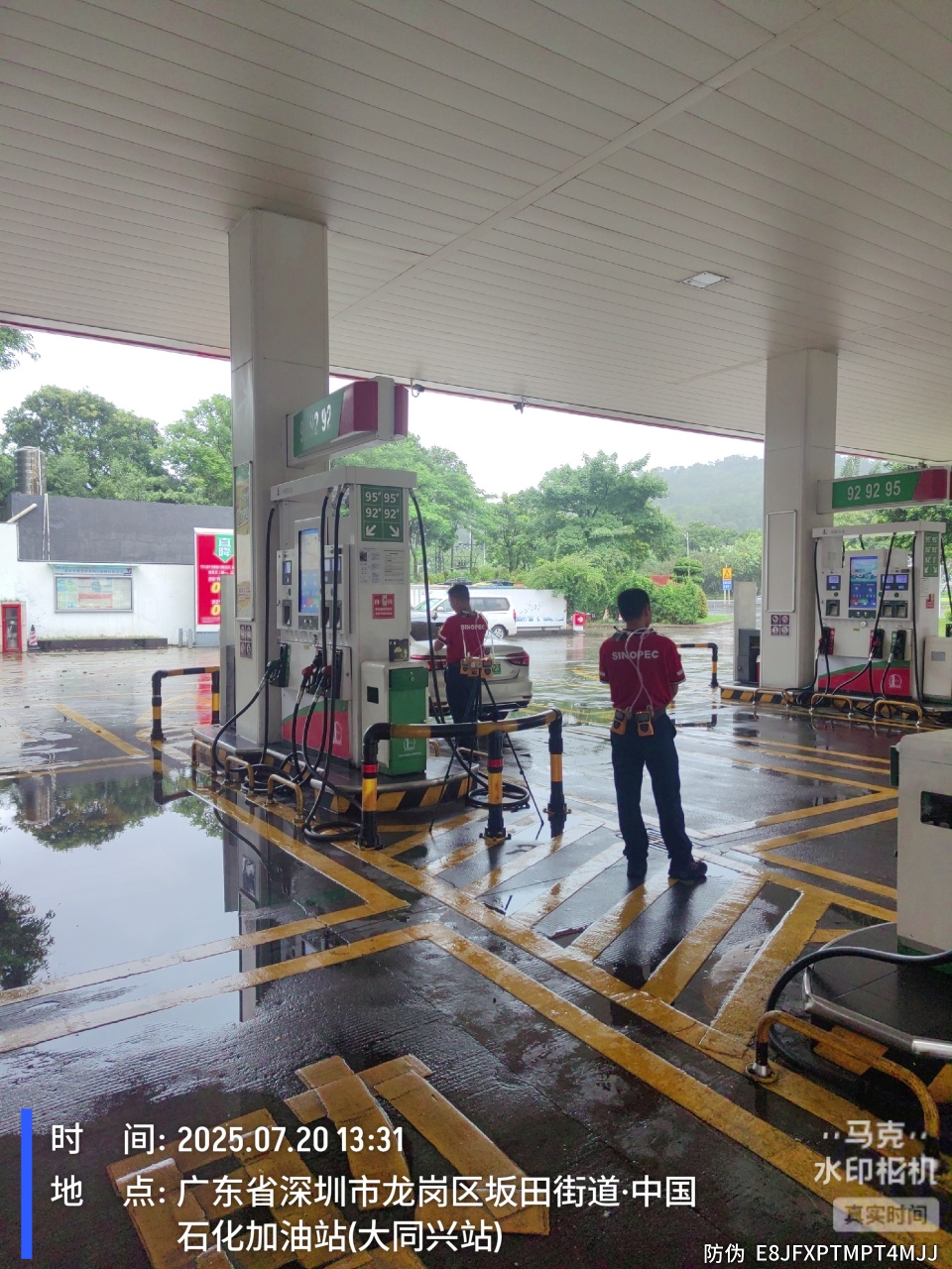 9888À˹ά¼Ó˹(¹É·Ý)ÓÐÏÞ¹«Ë¾-¹Ù·½ÍøÕ¾