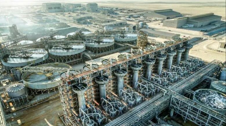 9888À˹ά¼Ó˹(¹É·Ý)ÓÐÏÞ¹«Ë¾-¹Ù·½ÍøÕ¾