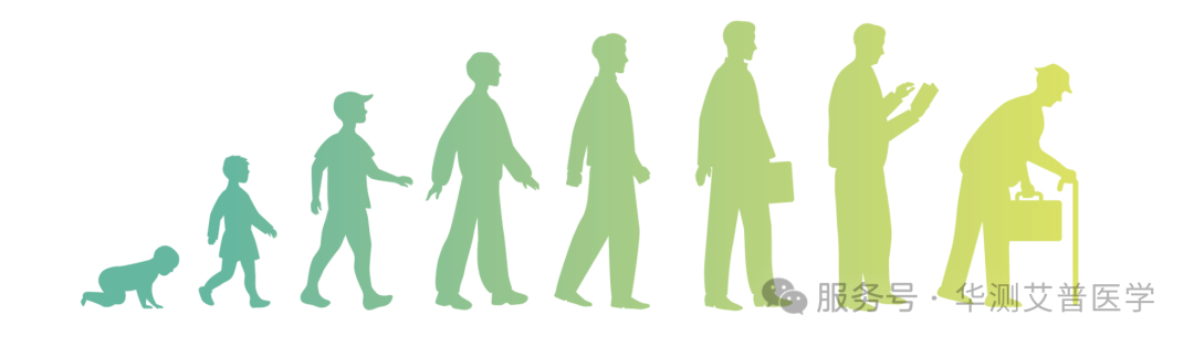 9888À˹ά¼Ó˹(¹É·Ý)ÓÐÏÞ¹«Ë¾-¹Ù·½ÍøÕ¾