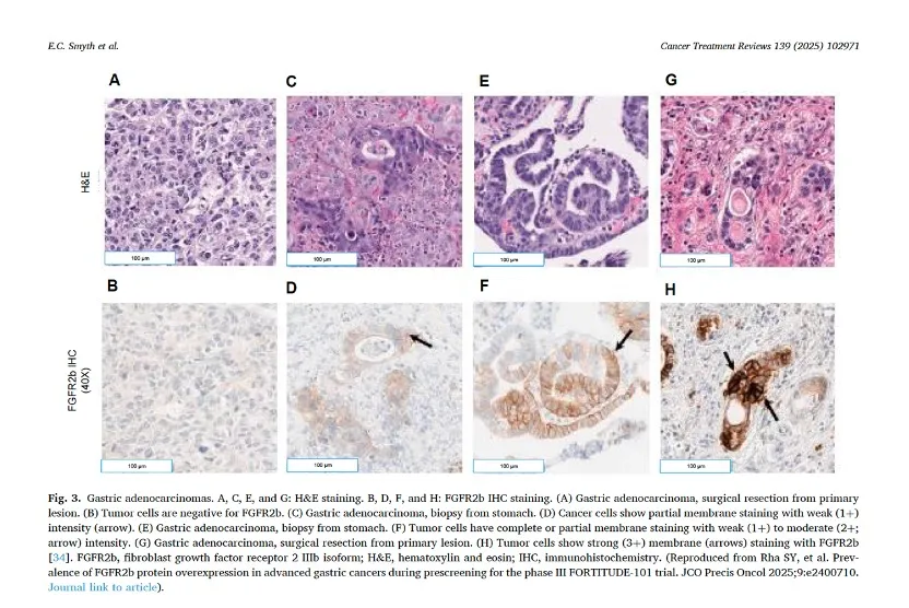 9888��˹ά��˹(�ɷ�)���޹�˾-�ٷ���վ