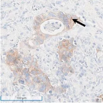 9888��˹ά��˹(�ɷ�)���޹�˾-�ٷ���վ