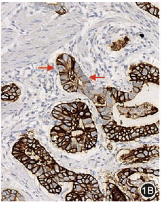 9888��˹ά��˹(�ɷ�)���޹�˾-�ٷ���վ