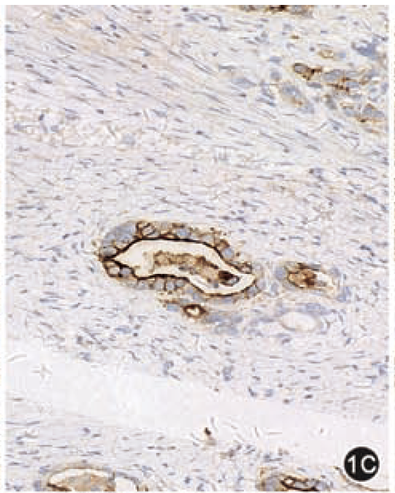 9888��˹ά��˹(�ɷ�)���޹�˾-�ٷ���վ