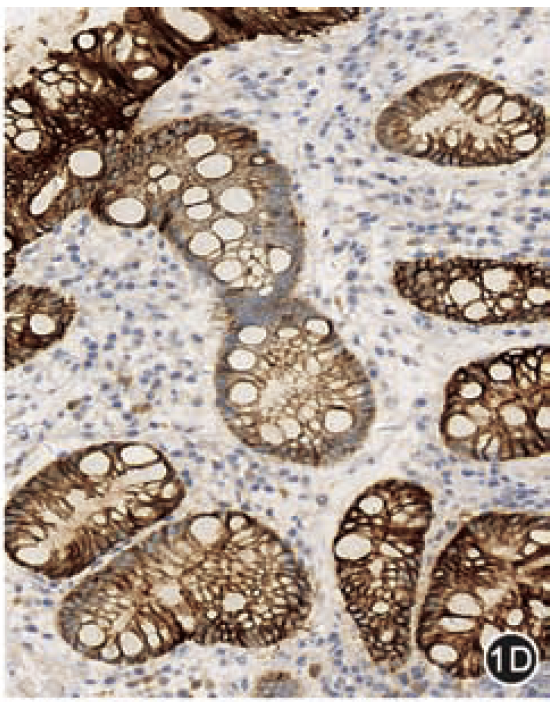 9888��˹ά��˹(�ɷ�)���޹�˾-�ٷ���վ