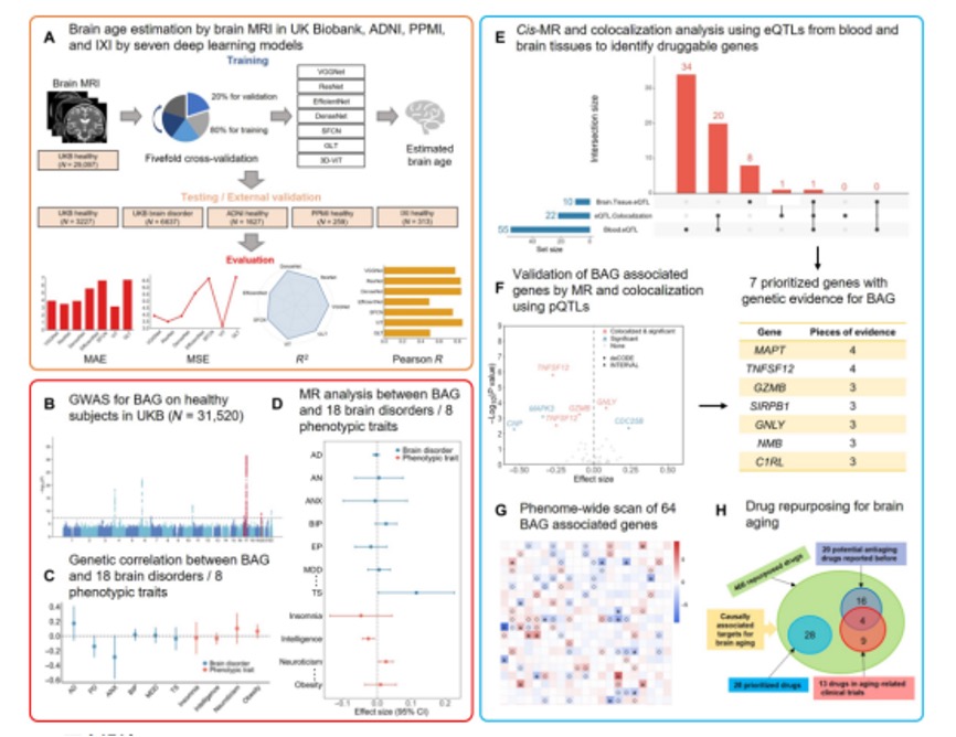 9888��˹ά��˹(�ɷ�)���޹�˾-�ٷ���վ