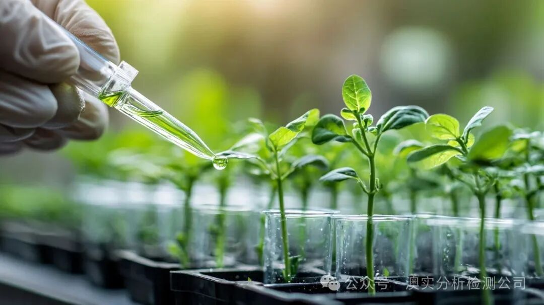 9888��˹ά��˹(�ɷ�)���޹�˾-�ٷ���վ