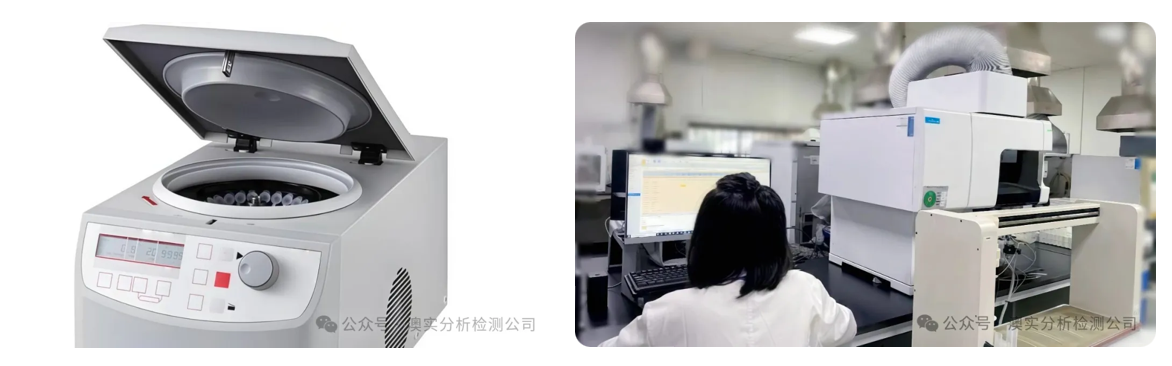 9888À˹ά¼Ó˹(¹É·Ý)ÓÐÏÞ¹«Ë¾-¹Ù·½ÍøÕ¾