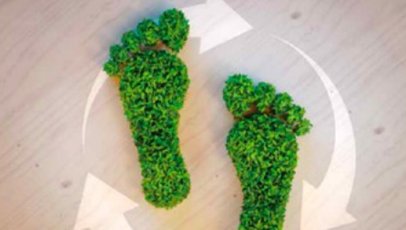 �㶫̼�㼣���� 1.png