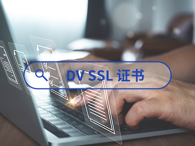 DV SSL֤